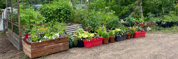 veroxray Profile Banner