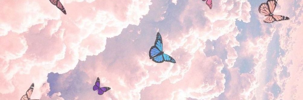 RezanAlNimer's profile banner image