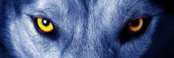 ALBERTO LIBRE banner