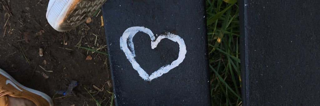 lizevandenberg's profile banner image