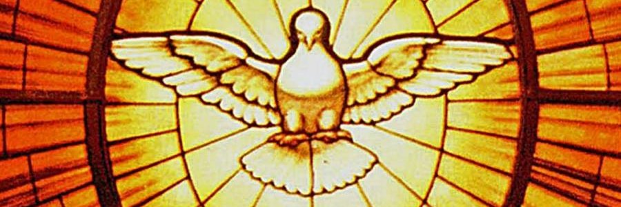 DavidSJAustin's profile banner image