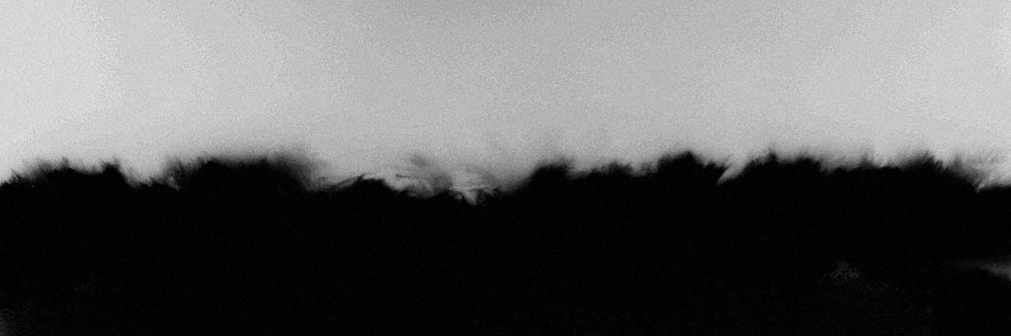 dept_music's profile banner image