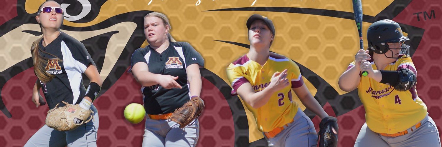UMCSoftball's profile banner image