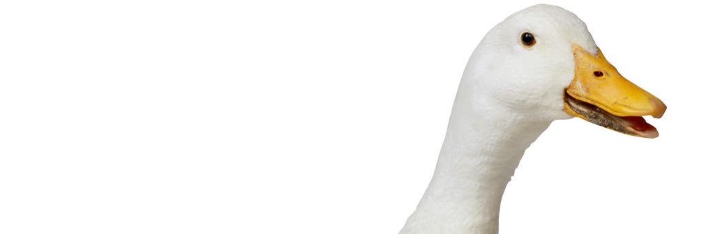 DANIZUDOH's profile banner image