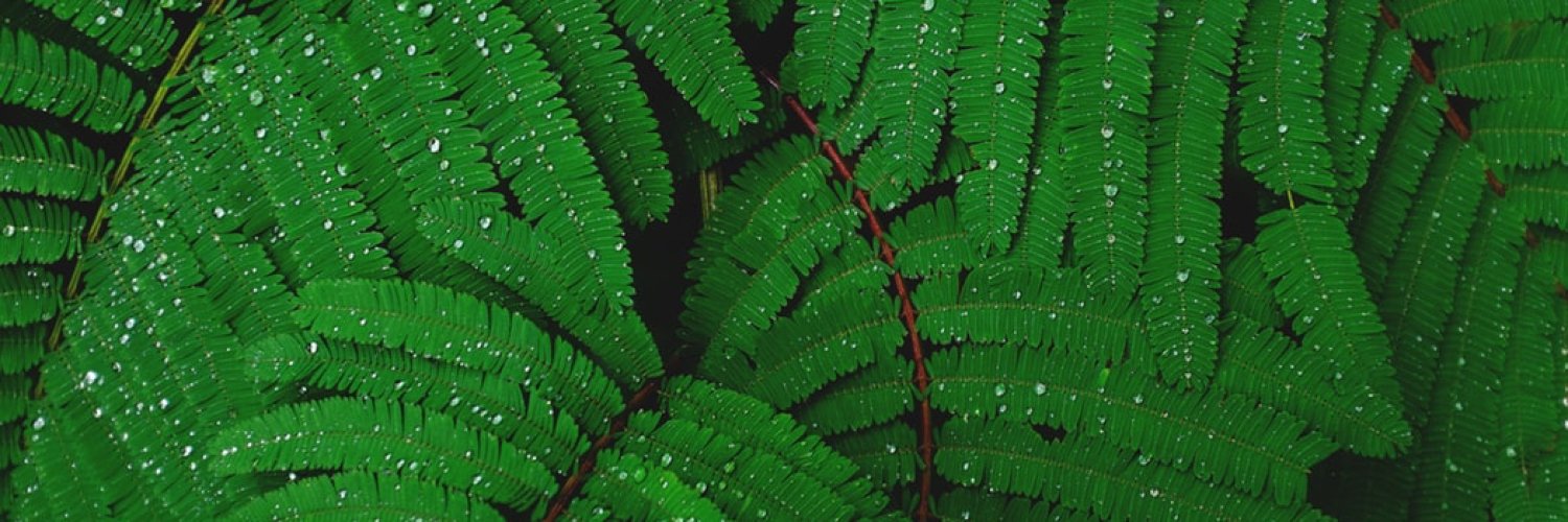 JOMOGOON's profile banner image