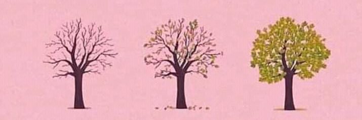RebeccaGuiro's profile banner image