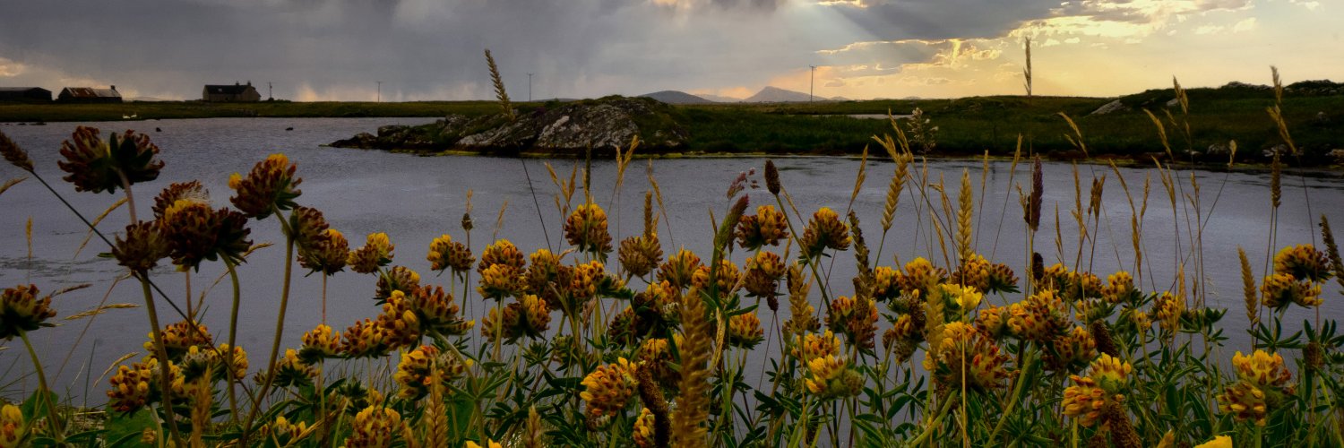 ProfJacqueline Baxter Writer/ artist/photographer banner