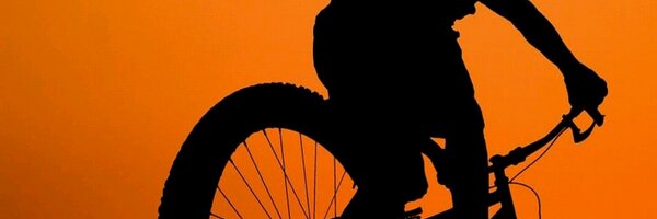 alexandremls81 Profile Banner