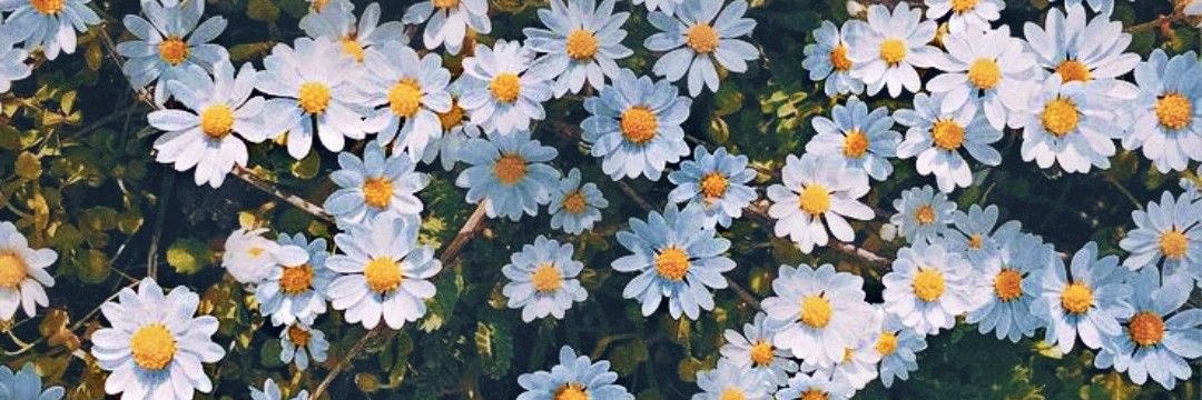 cynhidalgof's profile banner image