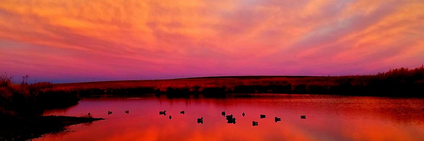HTReservoir's profile banner image
