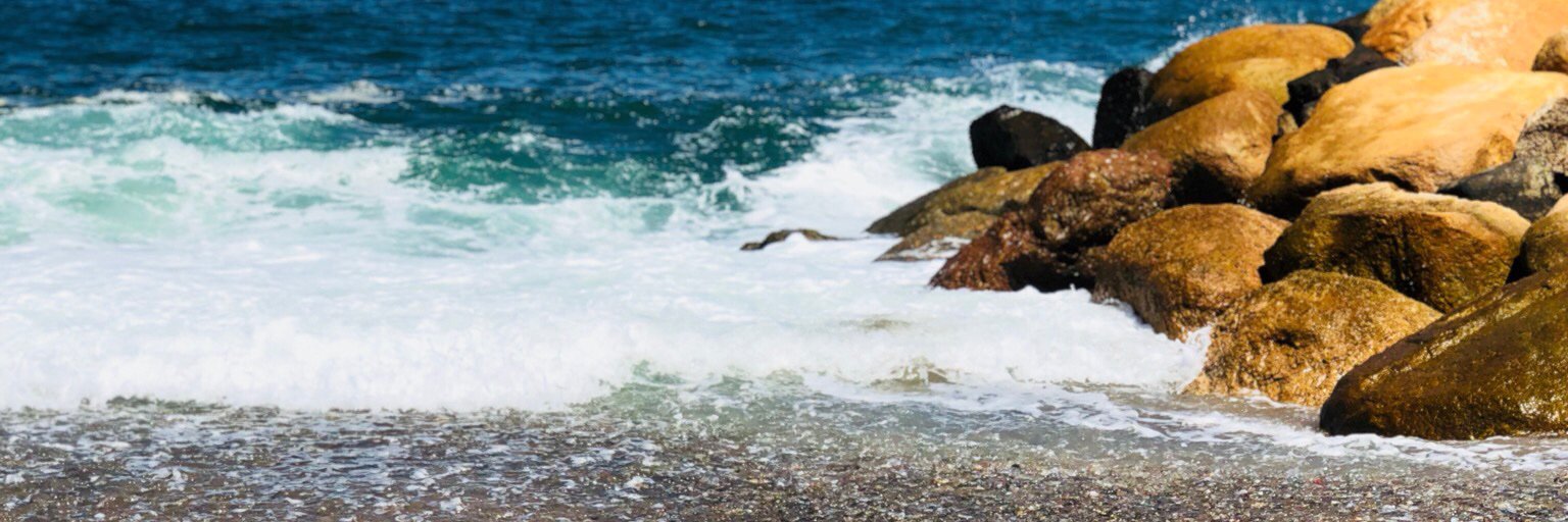 AM banner