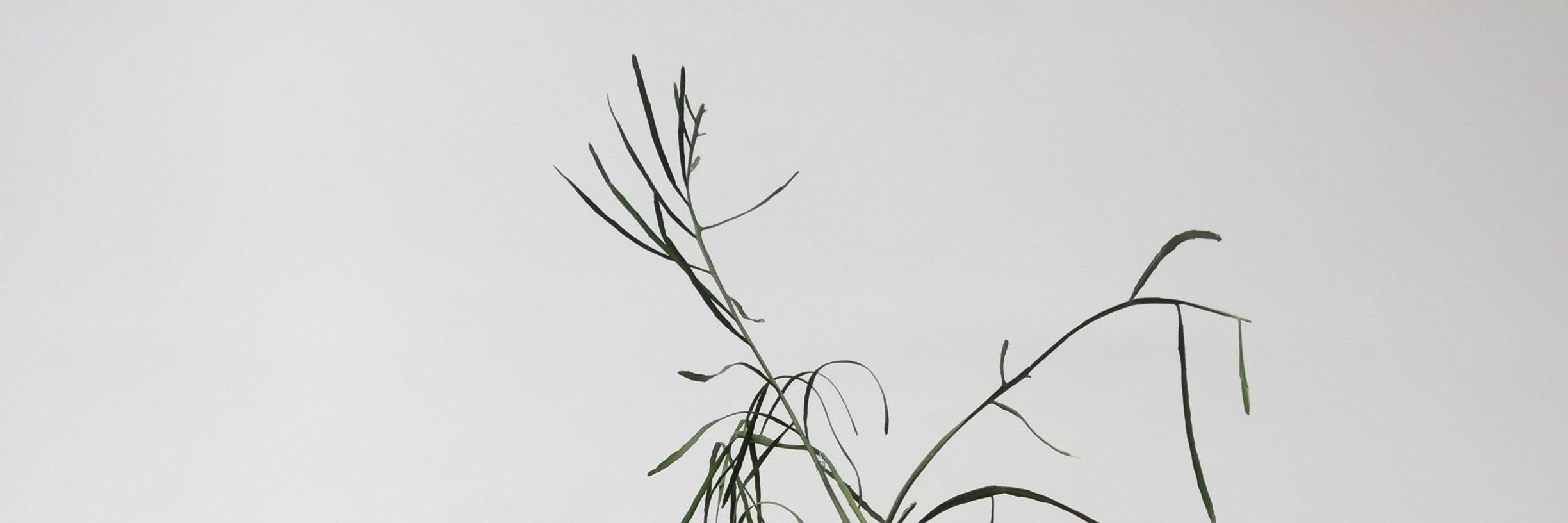 dkaidanow's profile banner image