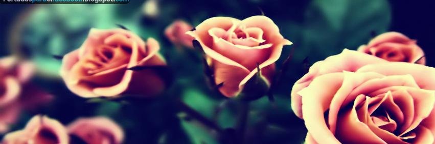 Laurilla405's profile banner image