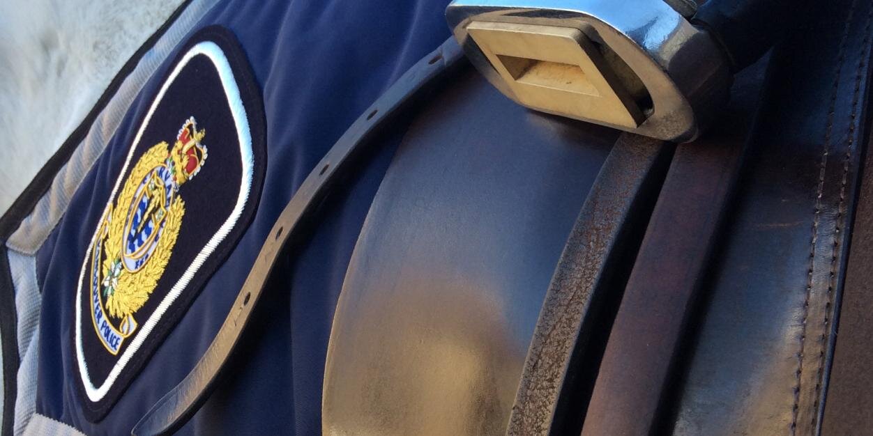 VPD Mounted Unit banner