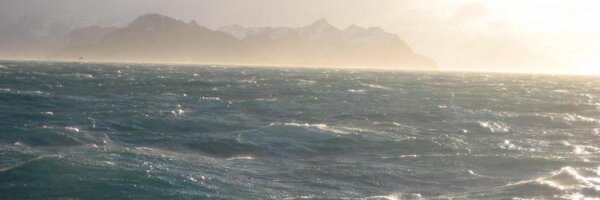 PlioceneClimate Profile Banner