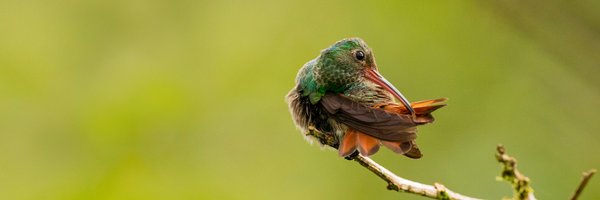 WLIW21 Profile Banner