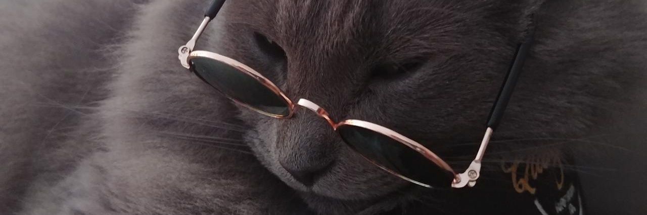 NikVullings's profile banner image