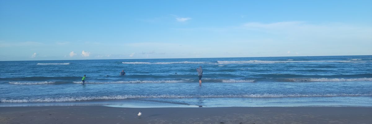 sheena8559's profile banner image