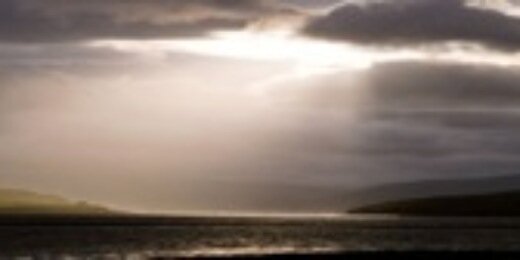 CandaceCorrigan's profile banner image