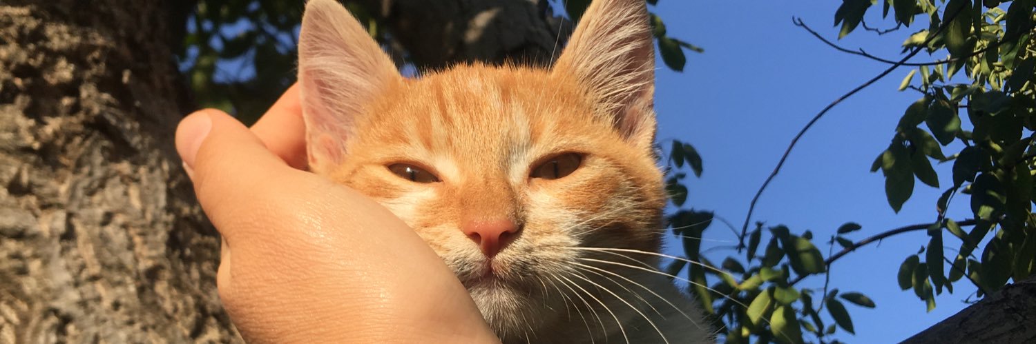 seciliiaa's profile banner image