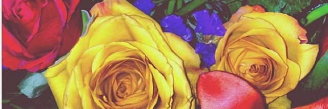 MillieBroad's profile banner image
