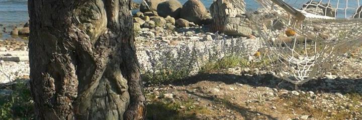 hilleh's profile banner image