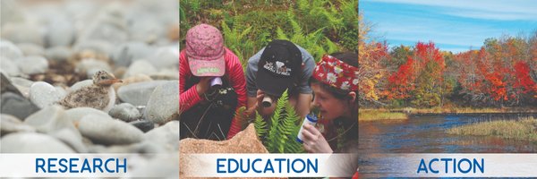 coastalaction Profile Banner