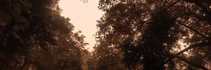 beczacat's profile banner image