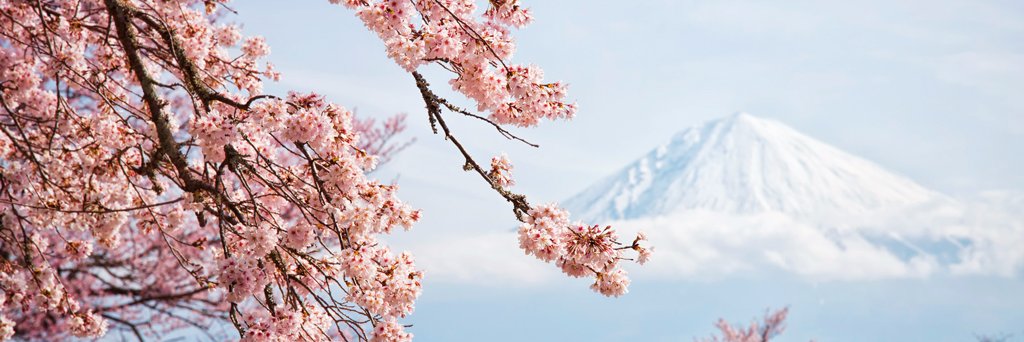 xXxTokyoWwW's profile banner image