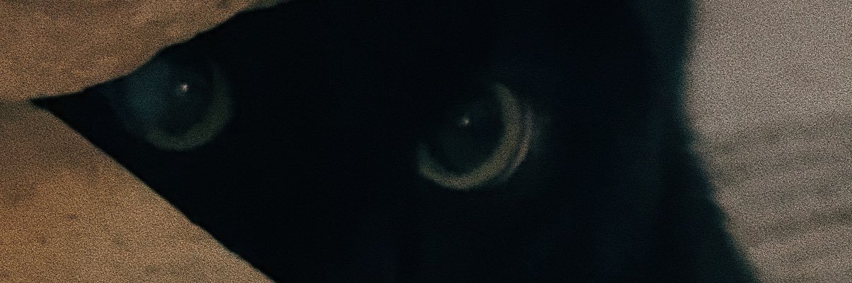 annelitvin's profile banner image