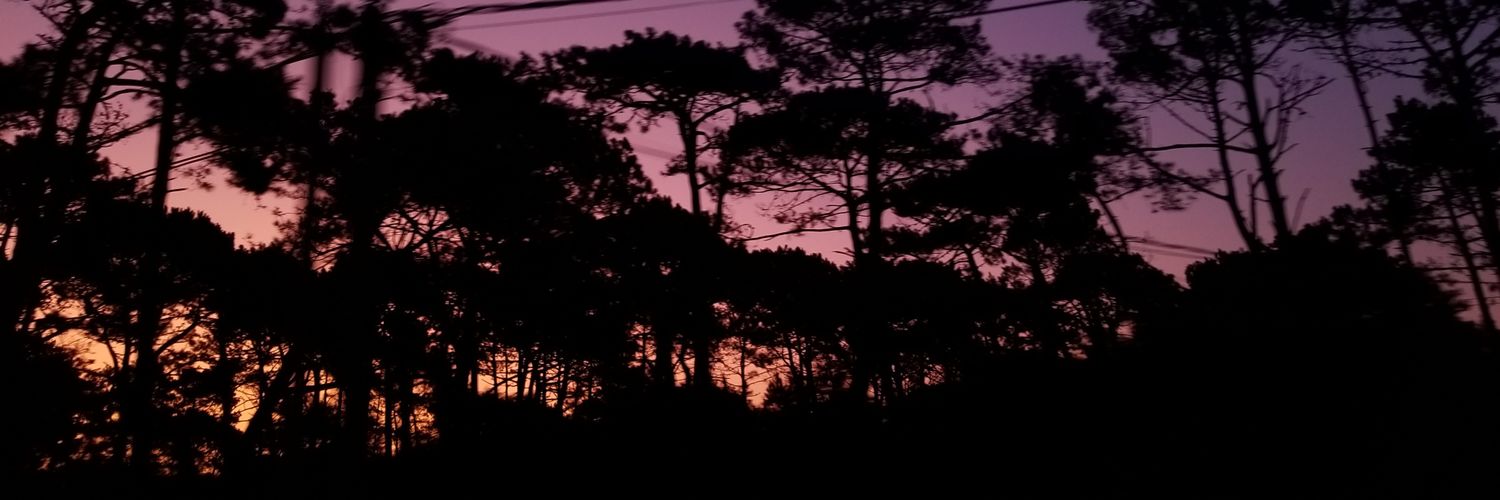 MoruCade's profile banner image