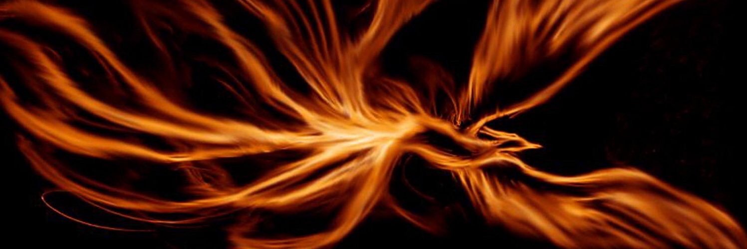 tim8121's profile banner image