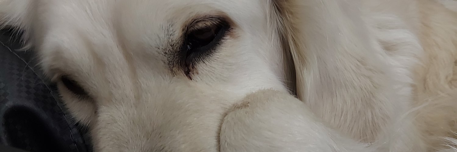 BeatrizMS23's profile banner image