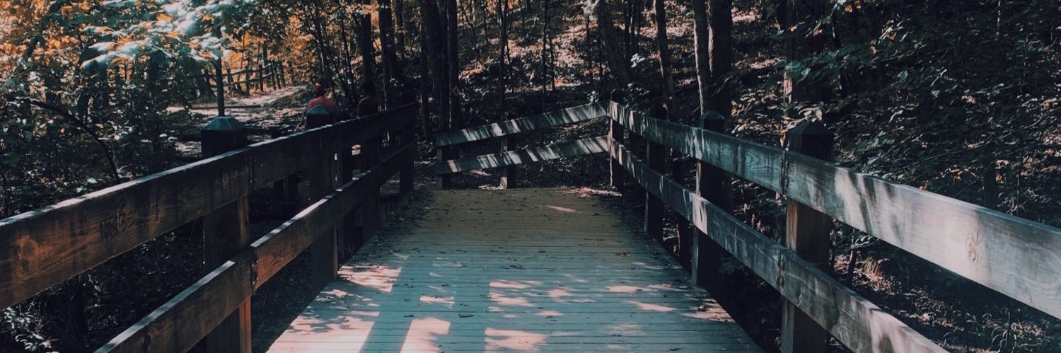 bailey_wehunt's profile banner image