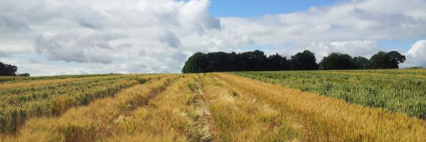 PhilippaBorrill Profile Banner