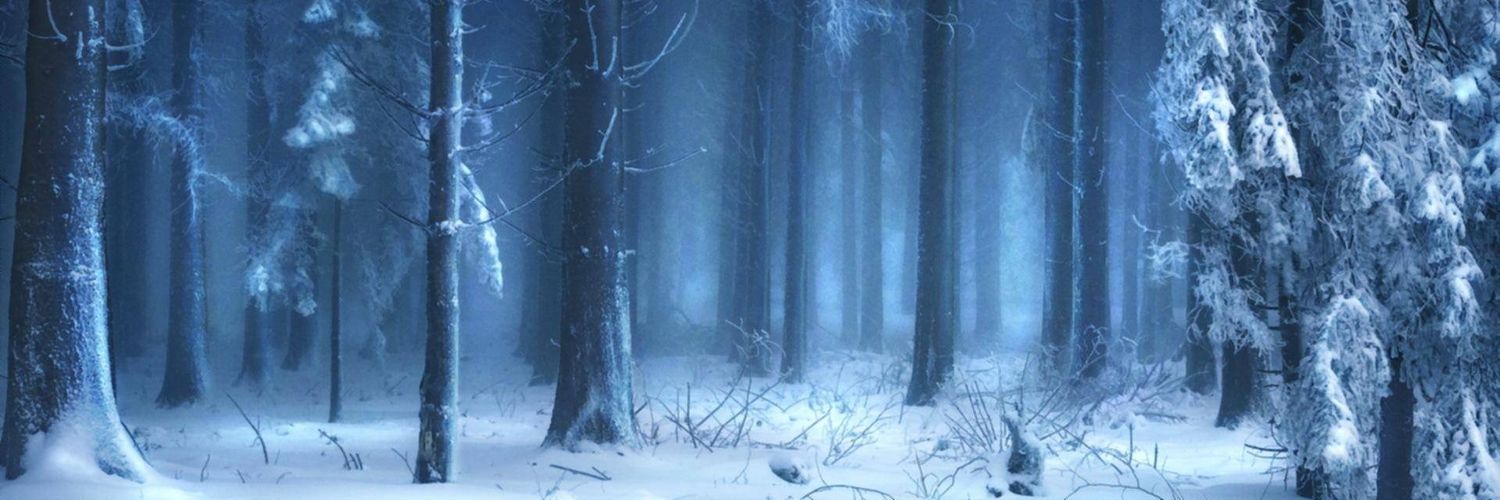 LAlsting's profile banner image