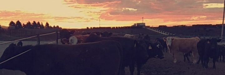 jfreundy's profile banner image