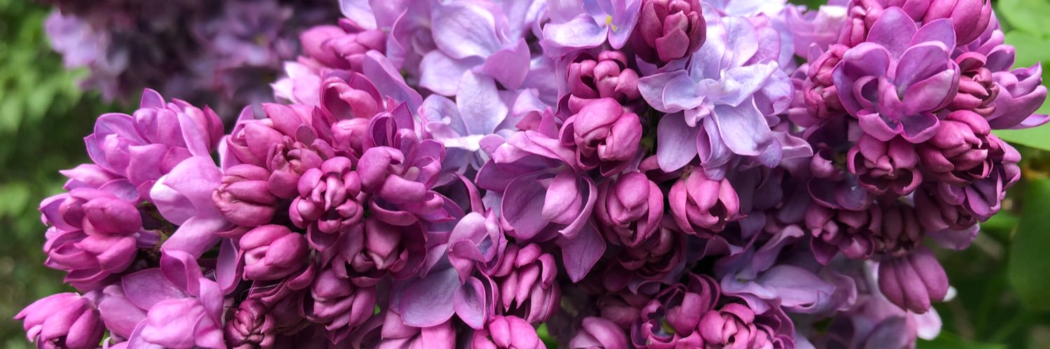 Almudena1208's profile banner image