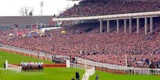 CheltFestival's profile banner image