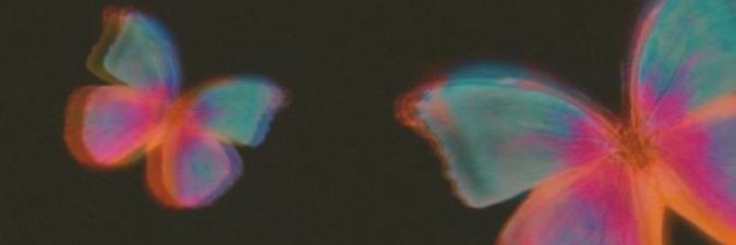 flor_chaves20's profile banner image