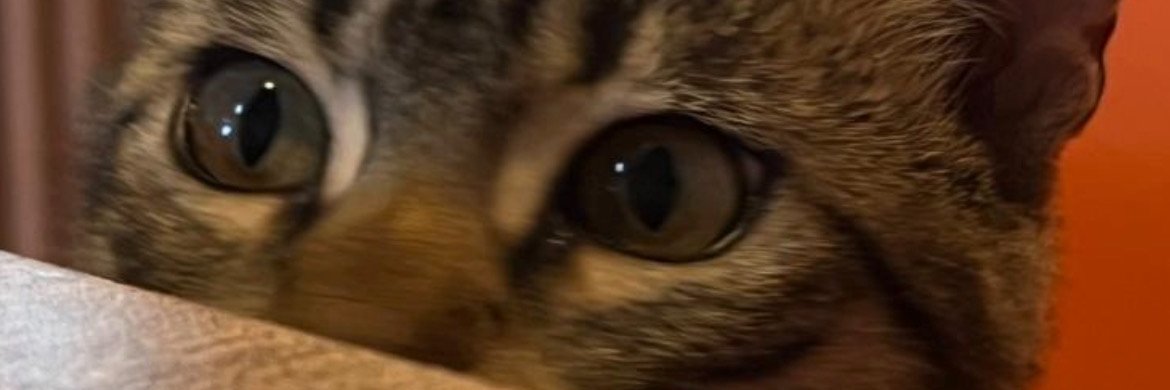 isasbread's profile banner image