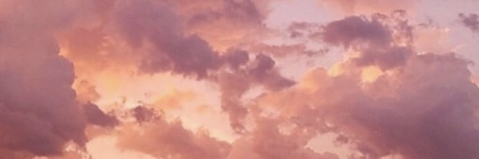 middleton_avery's profile banner image