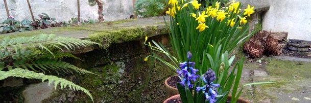 Angela Madden 🇺🇦 🧡 banner