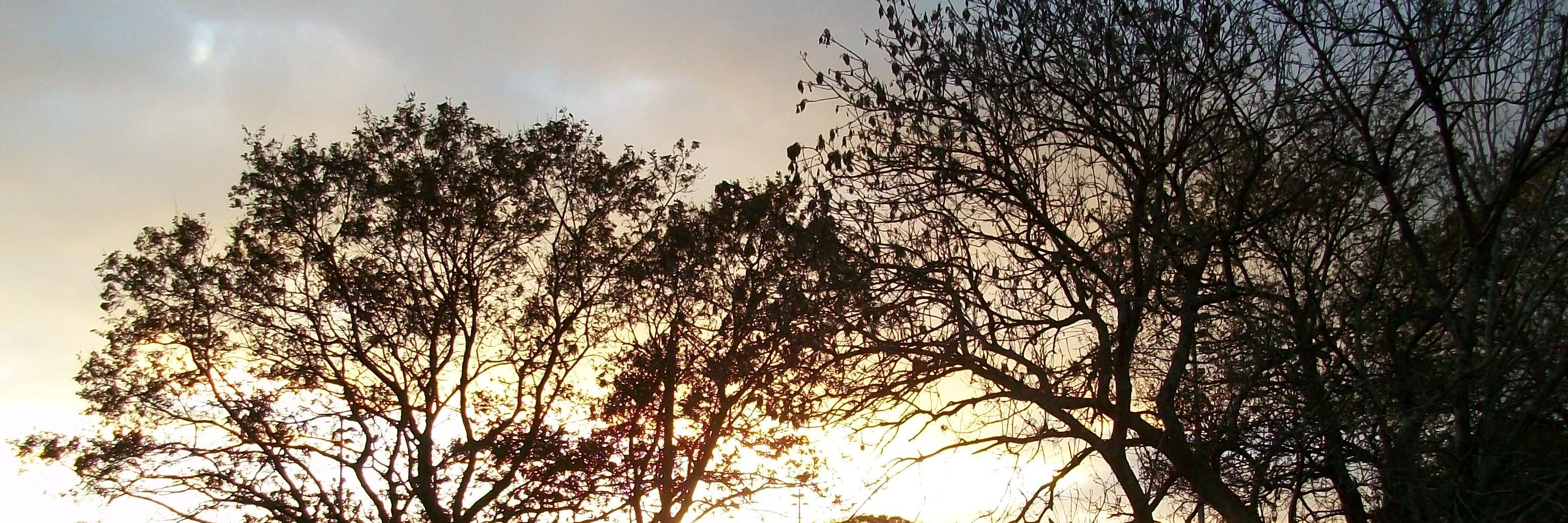 Valery North - Writer, musician, game creator banner