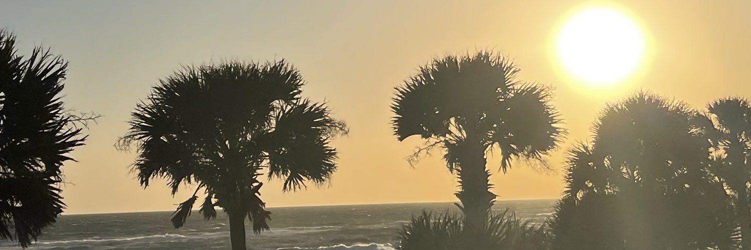MsU_Nique's profile banner image