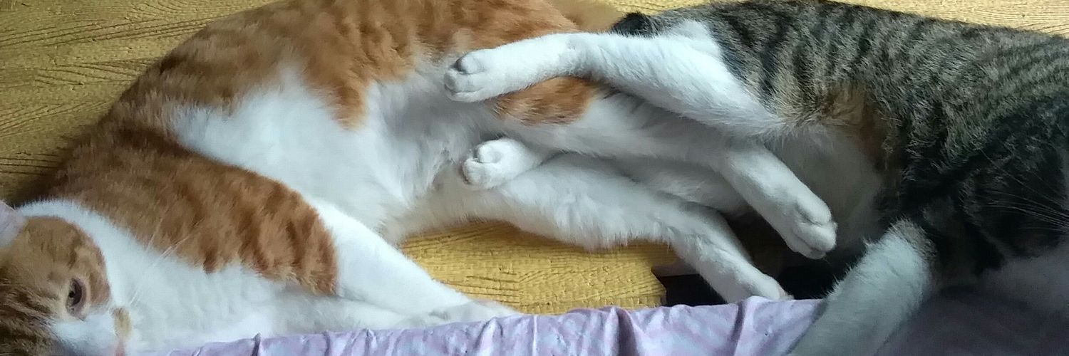 ハッピーターン banner