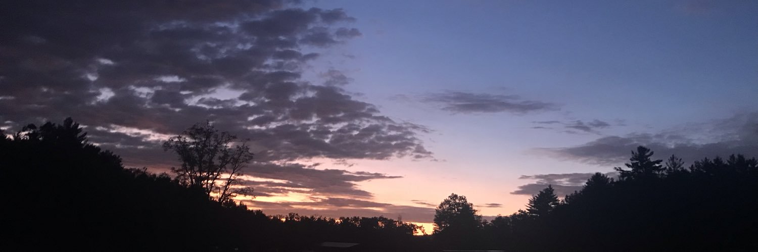 Griffyz's profile banner image
