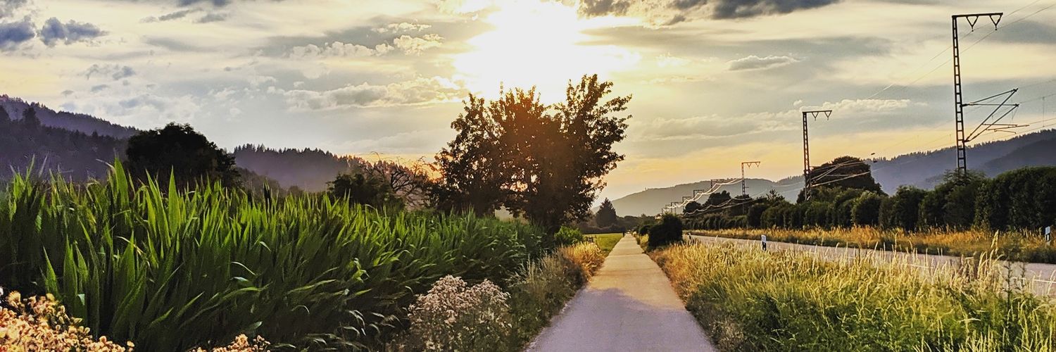 Reggie Tricker banner