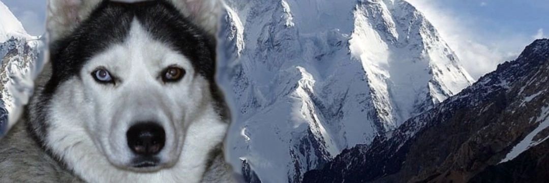 siberien02's profile banner image