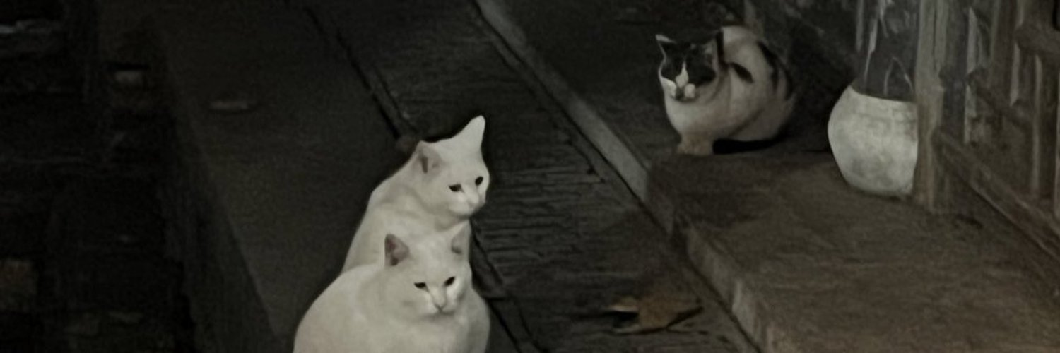 _Kevin_Marchart's profile banner image